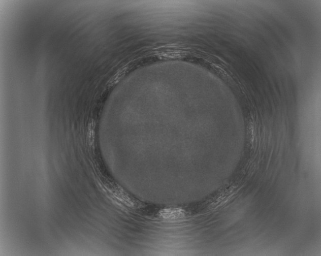 X0000056320271200509161651