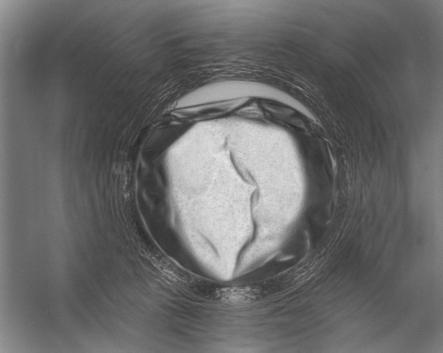 X0000056320273200509161651