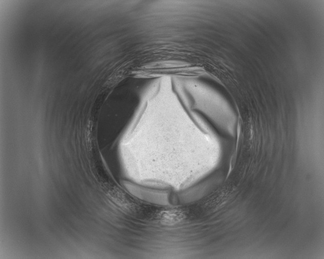 X0000056320275200509161651