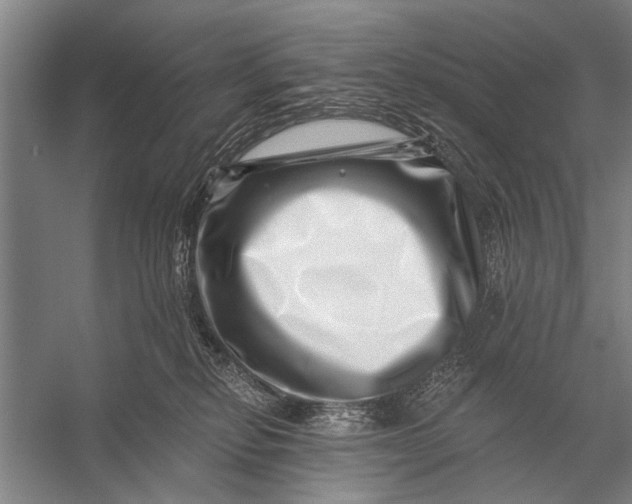 X0000056320278200509161651