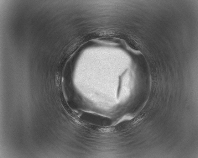 X0000056320281200509161651
