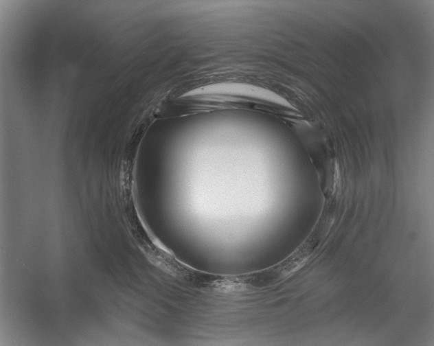 X0000056320284200509161651