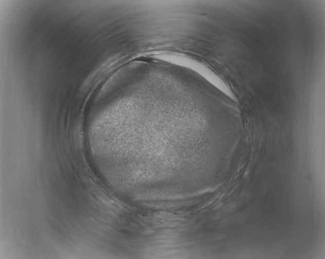 X0000056320290200509161650