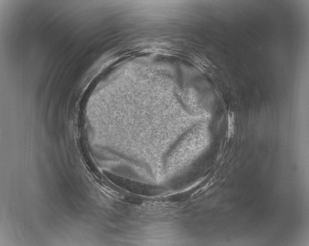 X0000056320291200509161650
