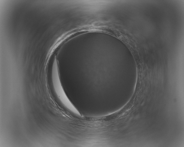 X0000056320295200509161650