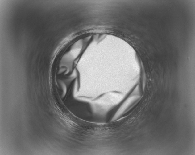 X0000056320296200509161650