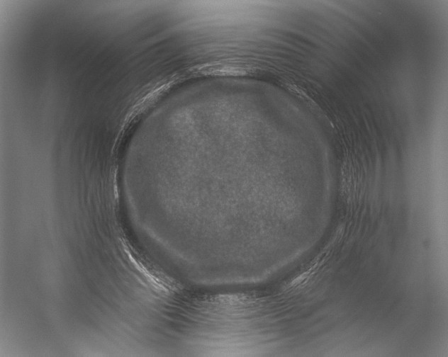 X0000056320302200509161650