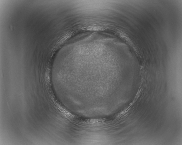X0000056320305200509161650