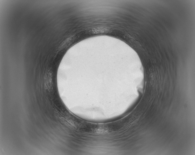 X0000056320308200509161650