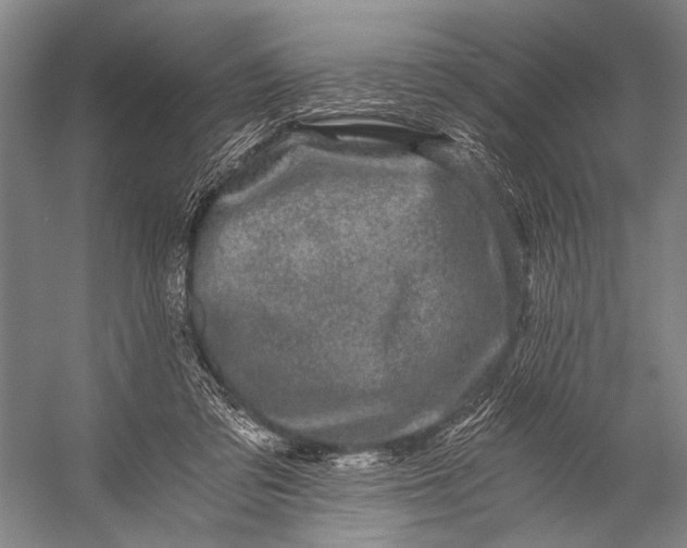 X0000056320309200509161650