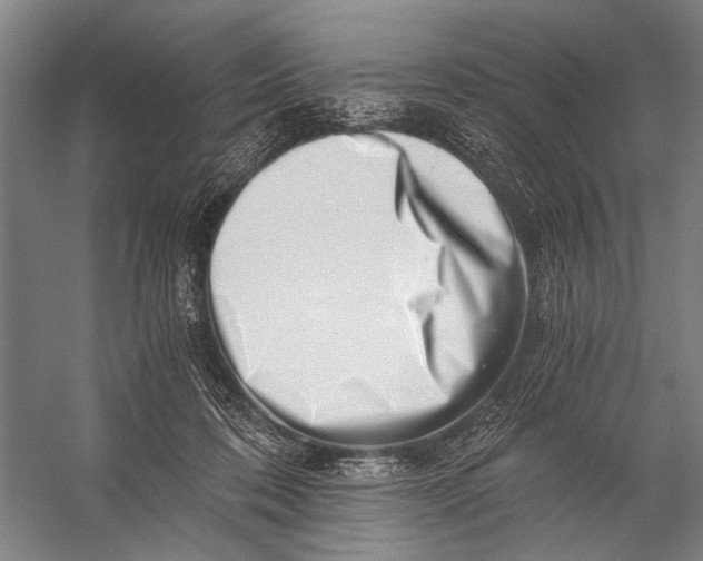 X0000056320316200509161650