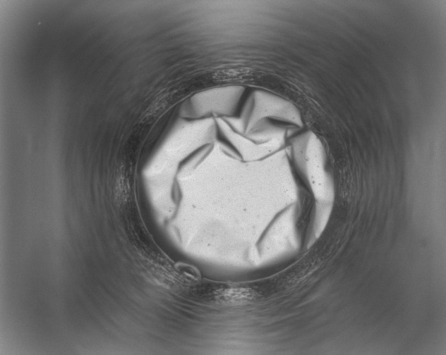 X0000056320324200509161650