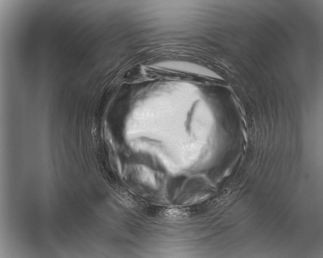 X0000056320327200509161650
