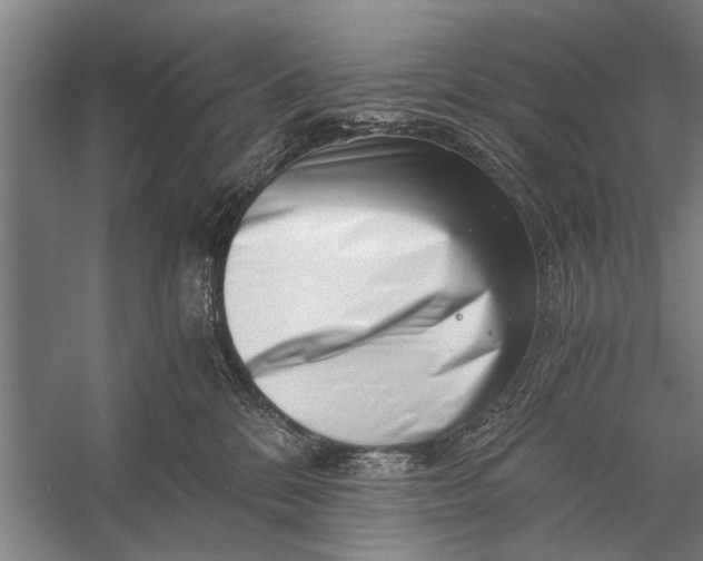 X0000056320328200509161650