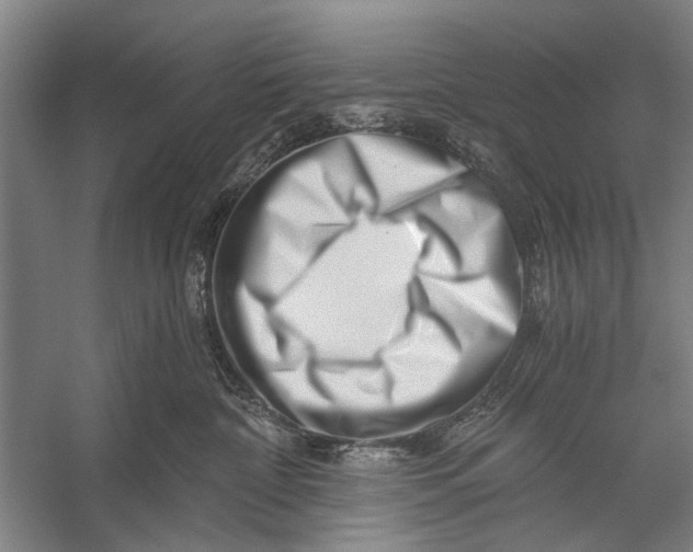X0000056320332200509161650