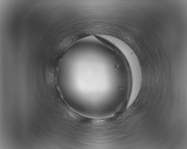 X0000056320333200509161650