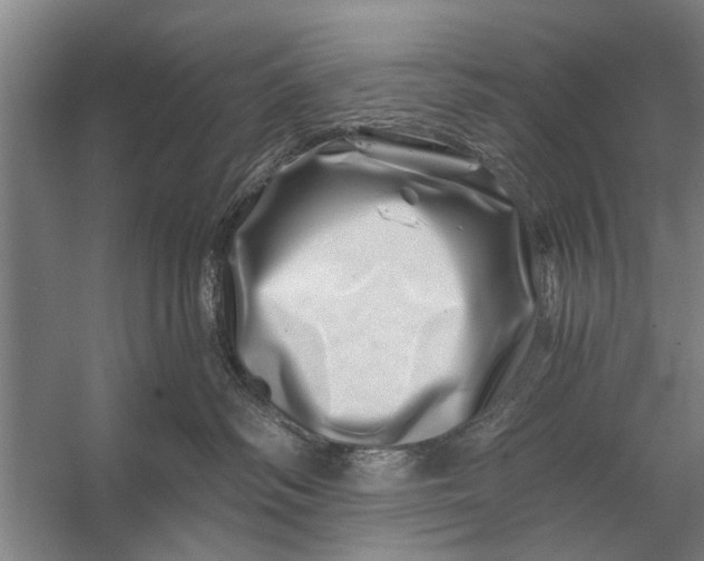 X0000056320334200509161650