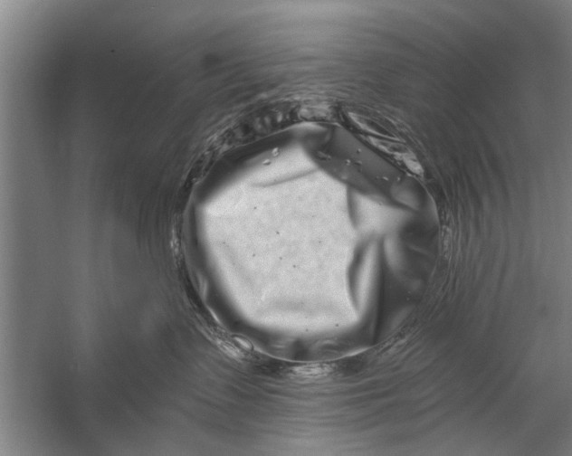 X0000056320335200509161650