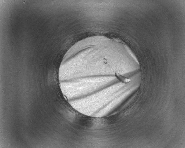 X0000056320336200509161650