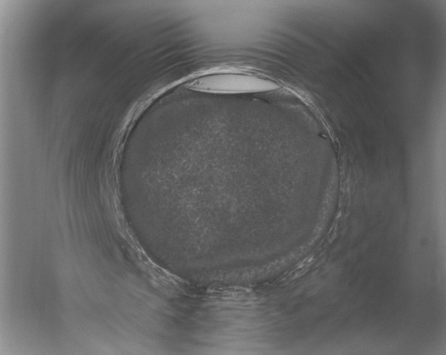 X0000056320337200509161649