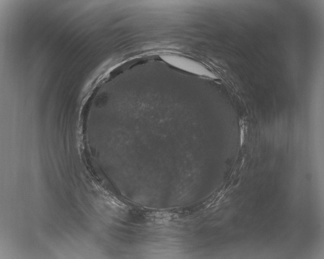 X0000056320339200509161649