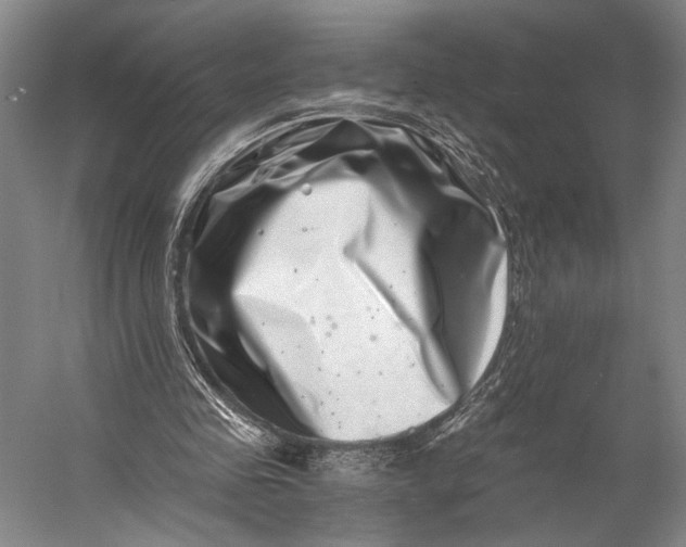 X0000056320341200509161649