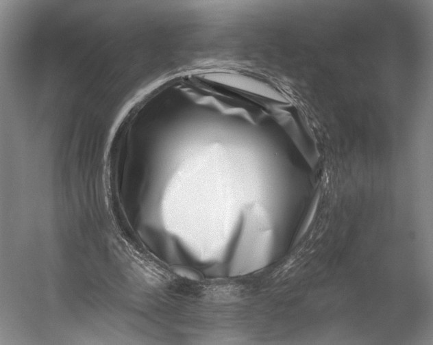 X0000056320342200509161649