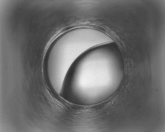 X0000056320344200509161649