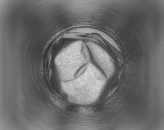 X0000056320346200509161649