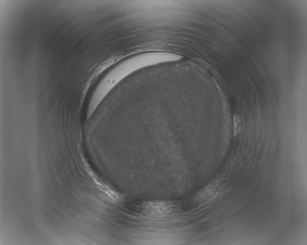 X0000056320349200509161649