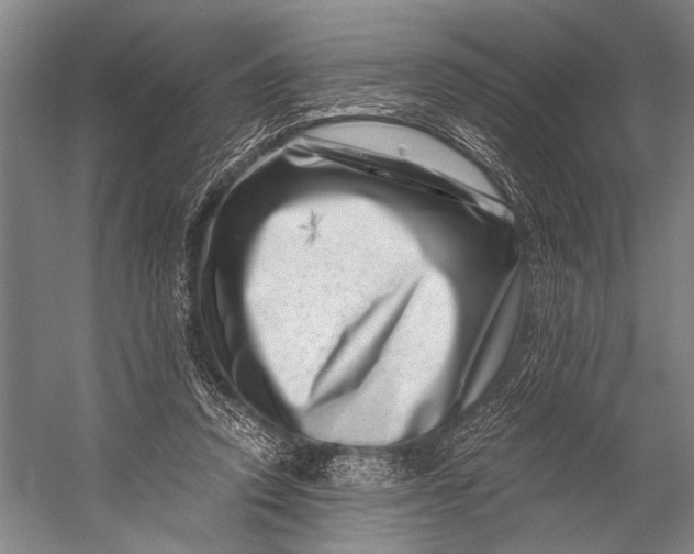 X0000056320354200509161649