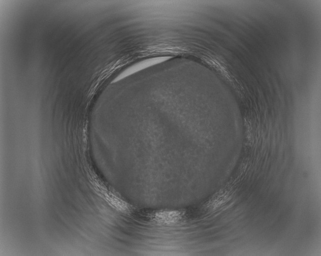 X0000056320357200509161649