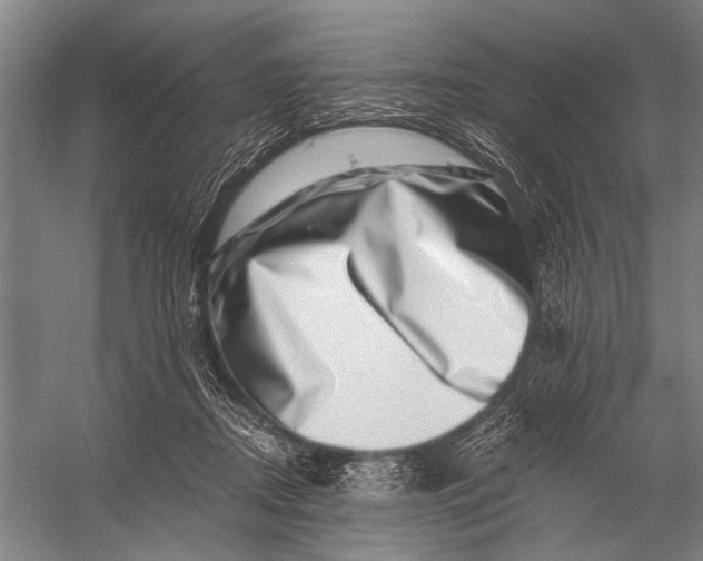 X0000056320362200509161649