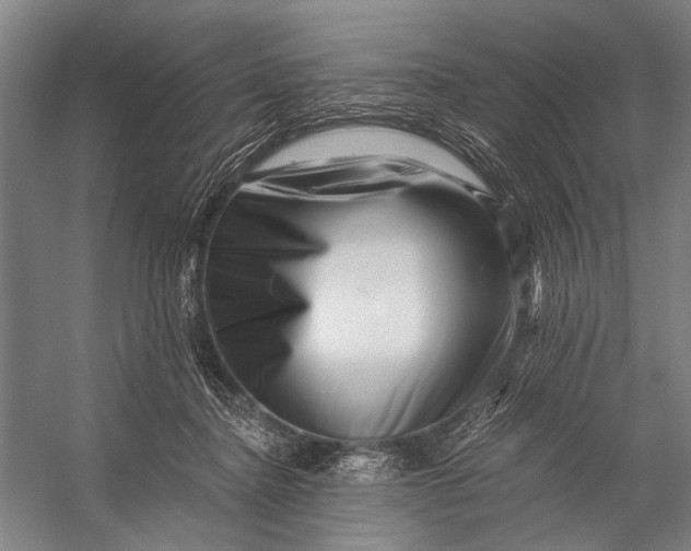 X0000056320364200509161649