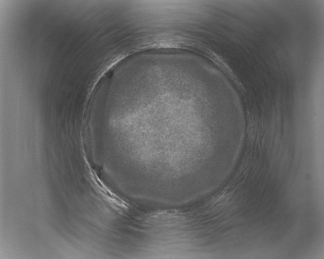 X0000056320386200509161649