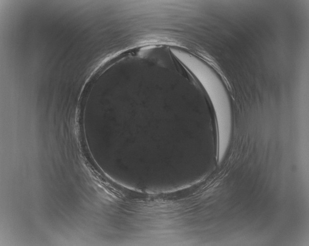 X0000056320387200509161649