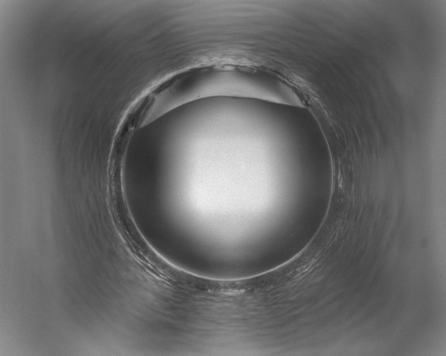 X0000056320388200509161649