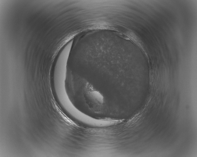 X0000056320389200509161649