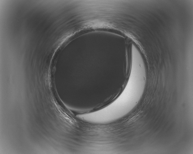 X0000056320391200509161649