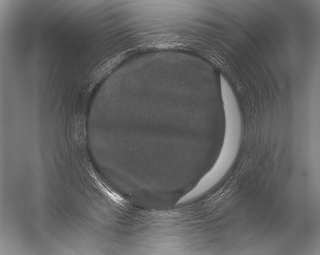 X0000056320397200509161649