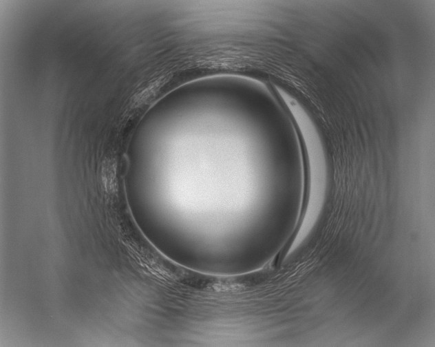 X0000056320403200509161648