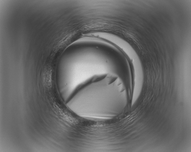 X0000056320404200509161648