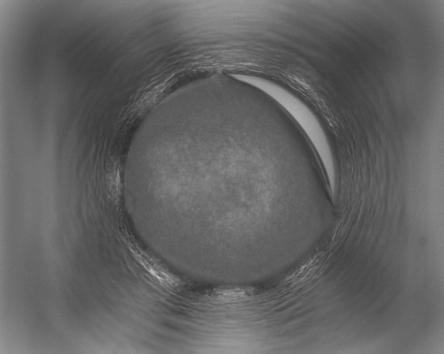 X0000056320405200509161648