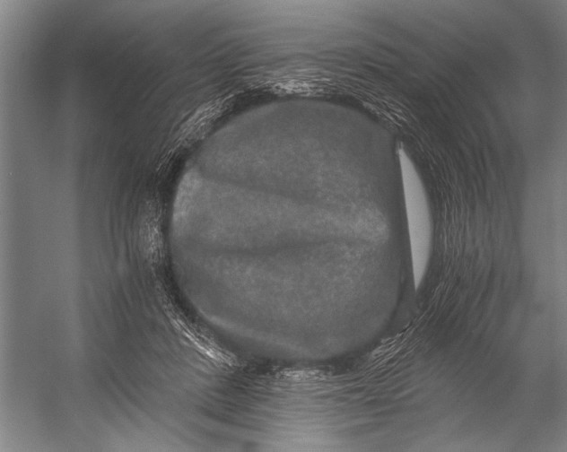 X0000056320408200509161648