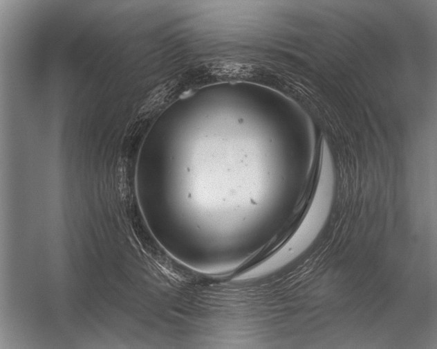 X0000056320416200509161648