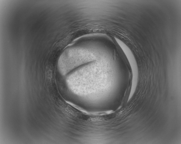 X0000056320417200509161648