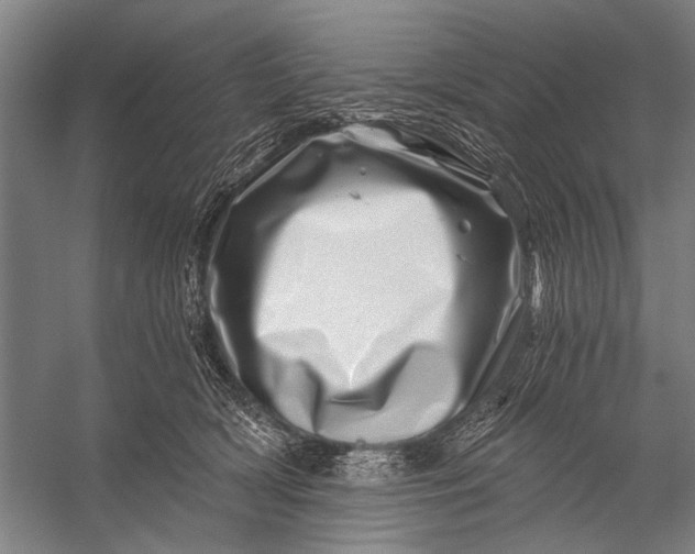 X0000056320418200509161648