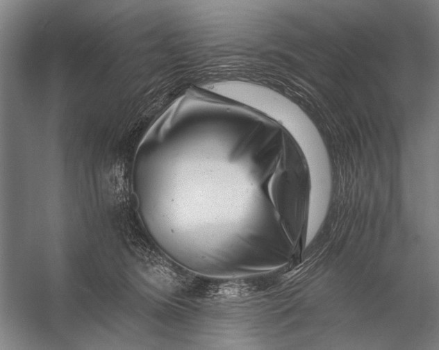X0000056320420200509161648