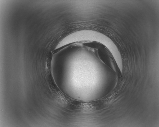 X0000056320424200509161648