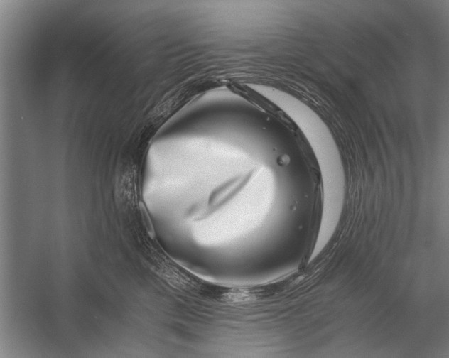 X0000056320425200509161648